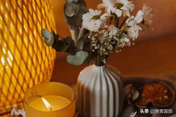 專家齊發聲，紀檢委保駕，國內遊即將火爆迴歸