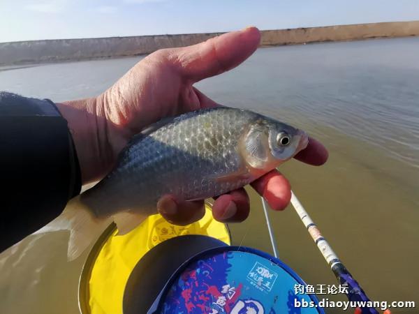 轉戰兩地，終獲一碗鮮