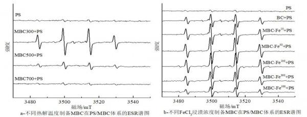 「專家視角」 浸漬熱解法制備鐵改性生物炭活化過硫酸鹽去除2&comma;4-二硝基甲苯