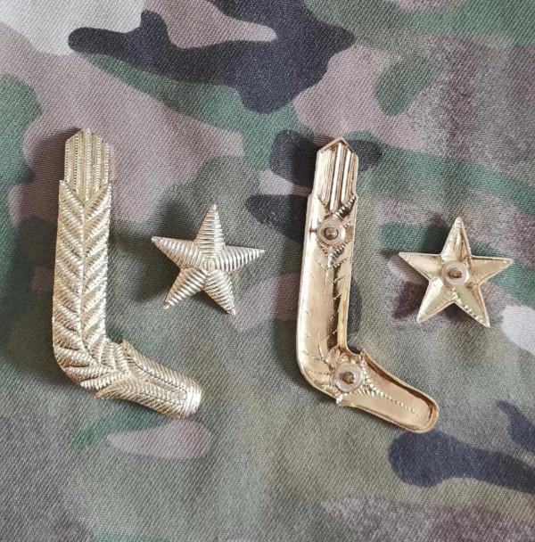 退役徽章欣賞（八七式三軍領花）