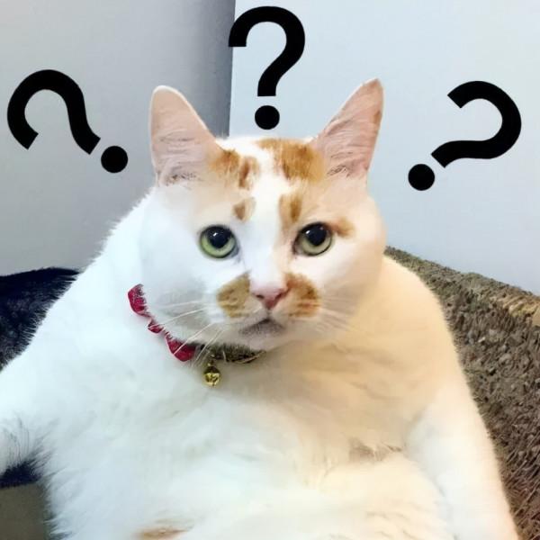 盒裝CPU因此降價？英特爾新保修政策出爐