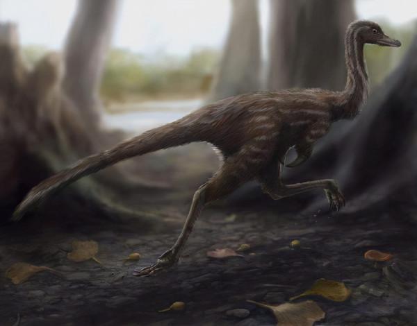 1億年前就存在！恐龍滅絕前的生物復活，讓我們對生命有了新認識