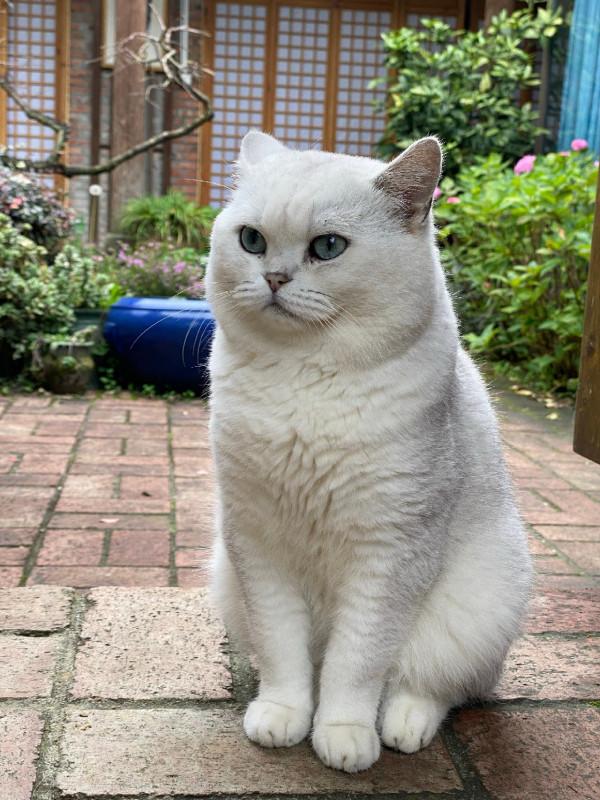 「雙11」半下午,一家人,一份餌,三條魚,盡享親子垂釣之樂… 「雙11」半下午,一家人,一份餌,三條魚,盡享親子垂釣之樂…