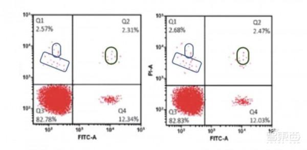 《自然》:解放編輯雙手,AI審查影象造假、學術不端 《自然》:解放編輯雙手,AI審查影象造假、學術不端