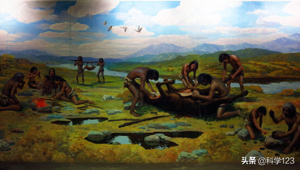 115萬年前,人類褪去多餘的毛髮,為何幾個特殊部位保留了下來? 115萬年前,人類褪去多餘的毛髮,為何幾個特殊部位保留了下來?