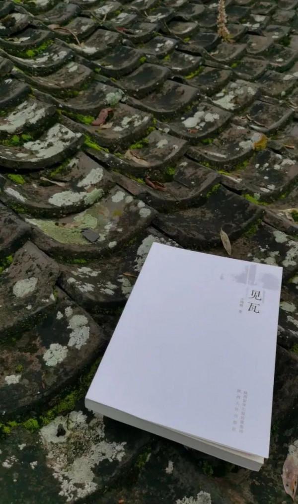 結廬人間 洗瓦成鏡丨敏娜 結廬人間 洗瓦成鏡丨敏娜