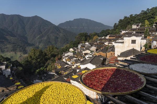 有一種旅遊只是為了靜心