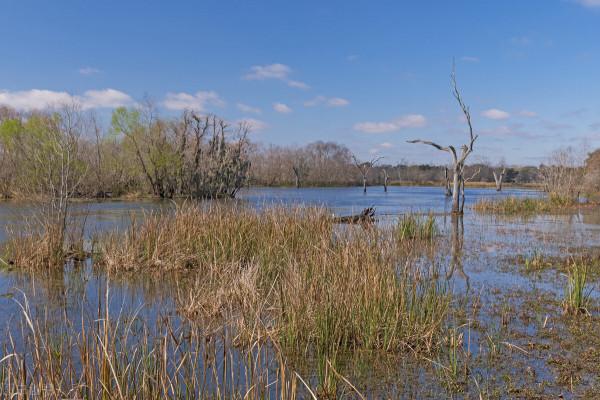 大自然無語,卻給我上了精彩的一課 大自然無語,卻給我上了精彩的一課
