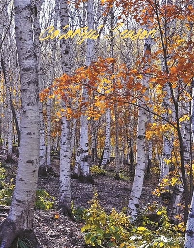 帶娃自駕京城神仙級秋色山林公路 帶娃自駕京城神仙級秋色山林公路