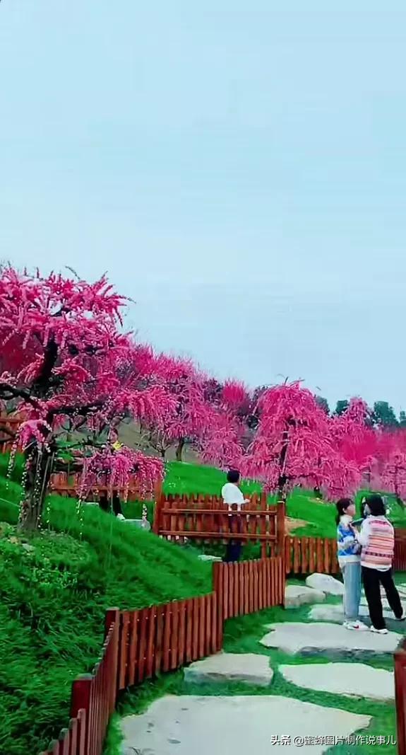 美圖分享，自然美景，可以治癒心靈