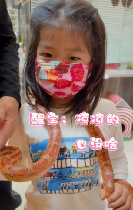 章子怡6歲女兒打針不怕疼！盯著針頭扎入胳膊，一臉淡定膽子超大