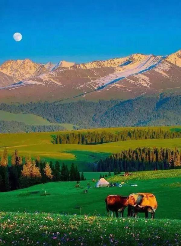 分享大美新疆 景色怡人 美美美