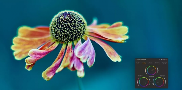 11月新版來襲!飛思Capture One 21 Pro v14.4.1.6,商業攝影必備 11月新版來襲!飛思Capture One 21 Pro v14.4.1.6,商業攝影必備