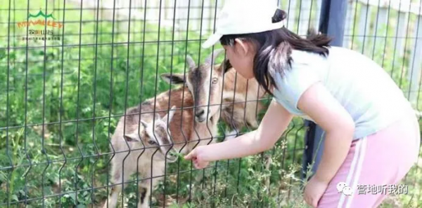 帝都這幾個遛娃地對老母親太友好了沙灘、燒烤、帳篷…應有盡有
