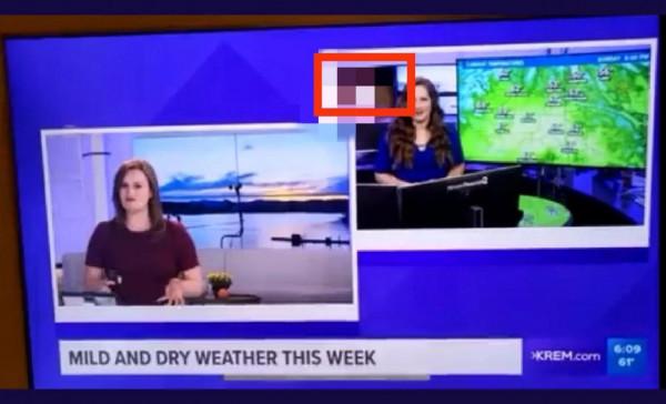 天氣預報中播放色情影片,美國KREM電視臺發生廣播事故 天氣預報中播放色情影片,美國KREM電視臺發生廣播事故