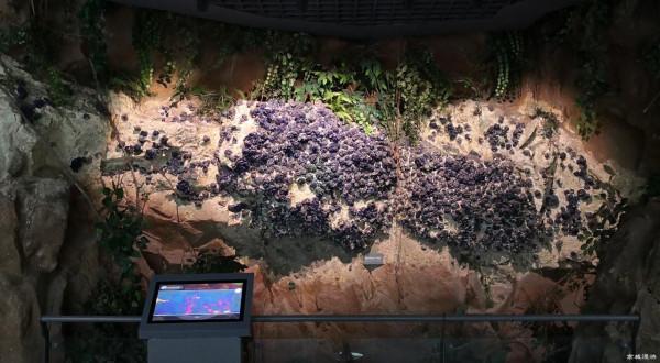 地質博物館裡千奇百怪的礦石 地質博物館裡千奇百怪的礦石