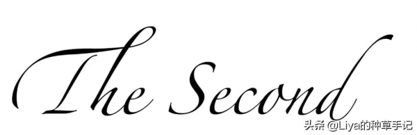 你穿“小高領”的樣子,太美了 你穿“小高領”的樣子,太美了