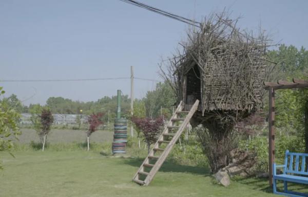 騰訊元老魏震：賺夠錢後辭職、攜妻兒退隱山林，每天種地喝茶？