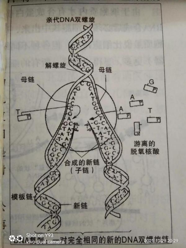 生命的法則續一 升明/文 生命的法則續一 升明/文
