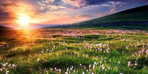 秋天，一定要去一次甘南！