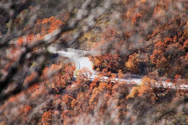 賞漫山彩葉,看雲騰山浮,房山最“紅”賞秋打卡地推薦,比香山更美!(上) 賞漫山彩葉,看雲騰山浮,房山最“紅”賞秋打卡地推薦,比香山更美!(上)