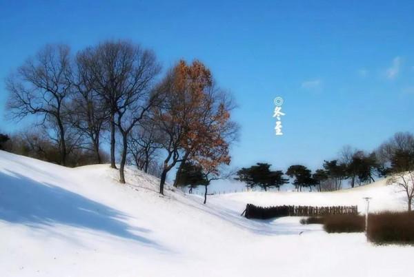 冬 至 組詩十首