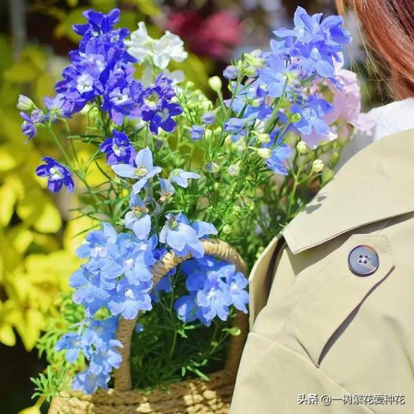 有沒被自制花肥臭懵過,這8種自制肥別亂做,踩過的坑、流過的淚 有沒被自制花肥臭懵過,這8種自制肥別亂做,踩過的坑、流過的淚