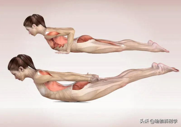 練瑜伽，這類人不能做後彎，初學者尤其要注意