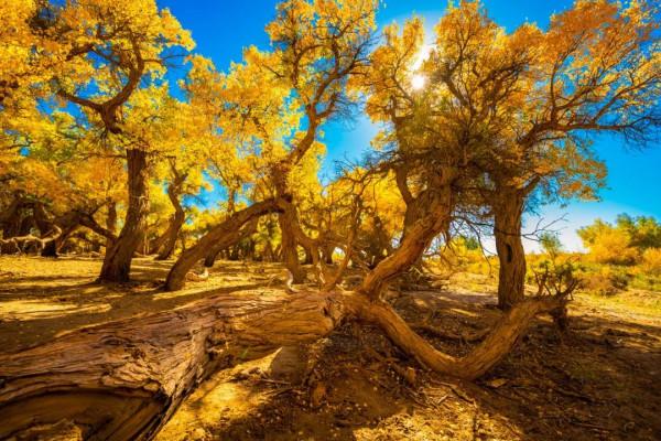 2022年最全旅行清單出爐：欠自己的旅行該還了