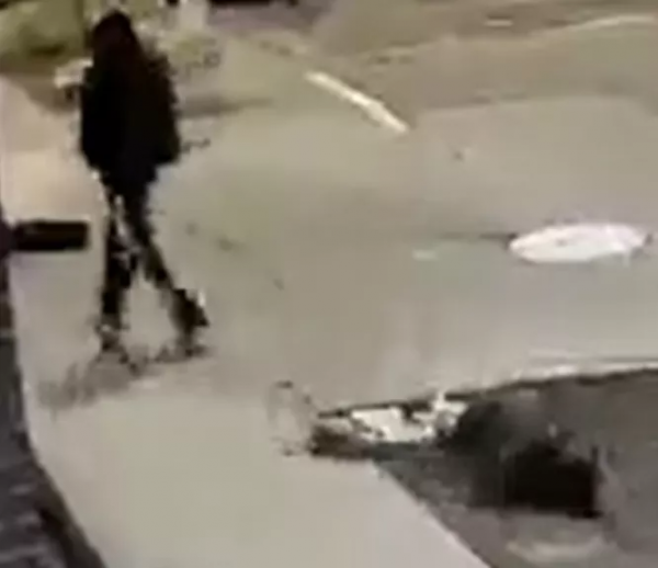 亞馬遜華人女工程師下班路上遇襲 頭骨被砸碎 遠在中國父母崩潰