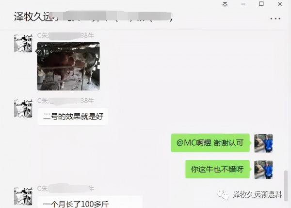 肉牛豆粕加得多、長得還慢？原來問題都在這裡