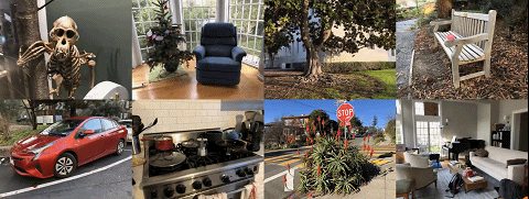 神經輻射場去掉「神經」，訓練速度提升100多倍，3D效果質量不減