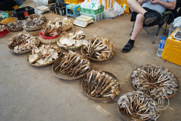 1小時飛攏的城市,有全國最好逛的市場 1小時飛攏的城市,有全國最好逛的市場