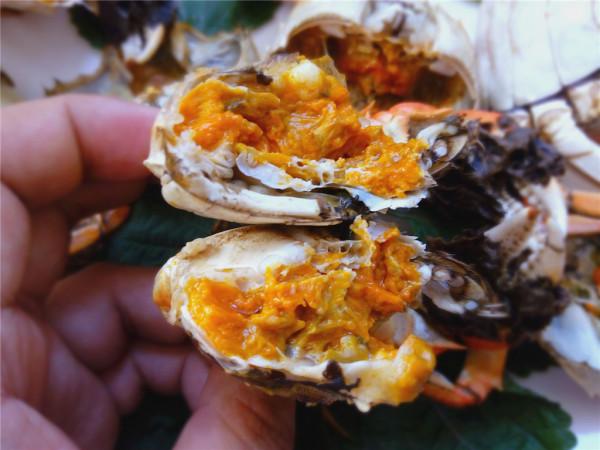 蒸螃蟹，用冷水還是熱水？差別挺大，弄錯了，難怪蟹黃流腳掉一鍋