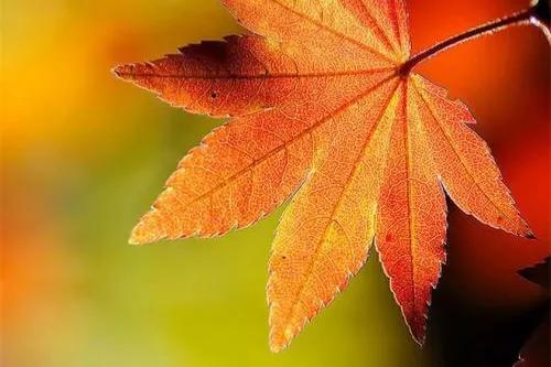 年少不知父母恩,半生糊塗半生人 年少不知父母恩,半生糊塗半生人