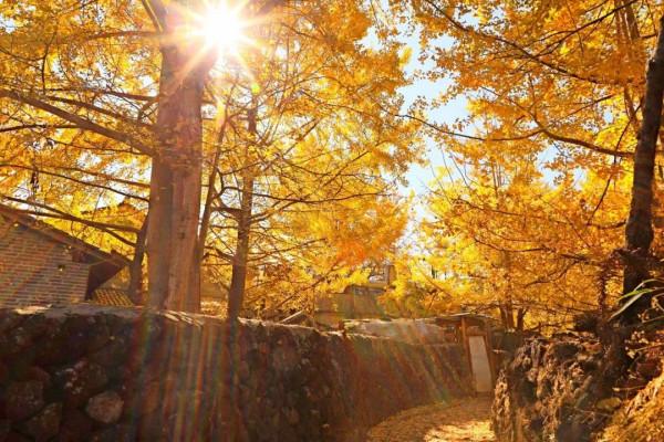 這才是11月最推薦去的景點，秋色正美還小眾，適合閒居兩三日