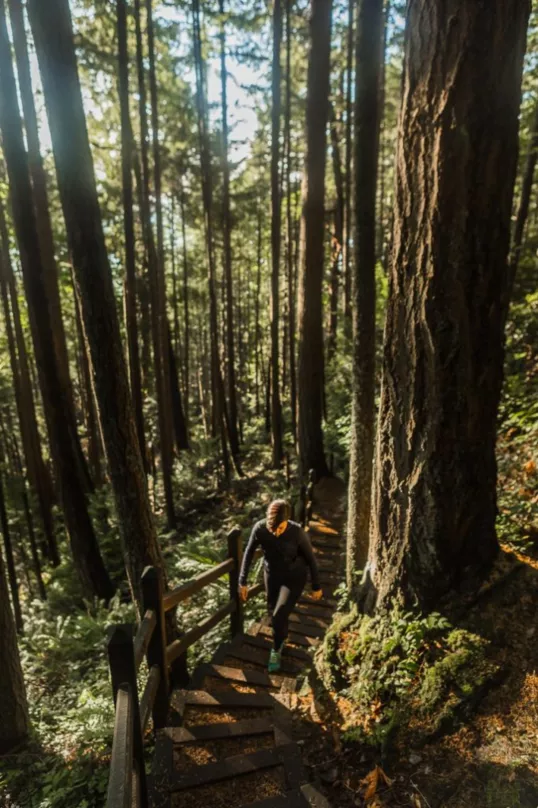 從濱海勝地到舒適山區,4個絕佳目的地開啟大溫短途車程之旅 從濱海勝地到舒適山區,4個絕佳目的地開啟大溫短途車程之旅