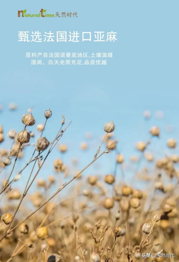 方寸之間，造就新時代質感生活