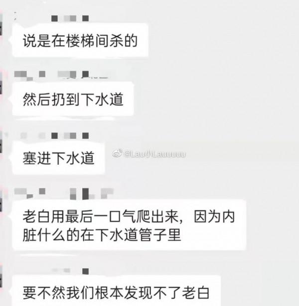 復旦師生餵了8年的流浪貓,在領養前夜被虐殺了 復旦師生餵了8年的流浪貓,在領養前夜被虐殺了