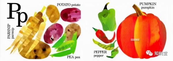 分享3本字母主題的經典英文繪本 分享3本字母主題的經典英文繪本