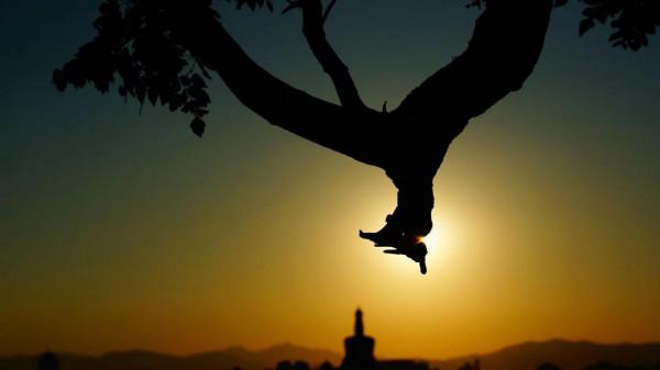 夢幻中的北海白塔絕美景象