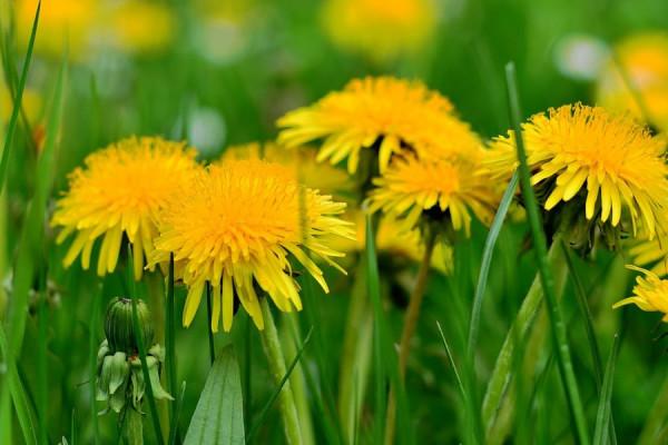 金牛座10月運勢詳解，專注學習，提高自我，自信的感覺會很舒暢