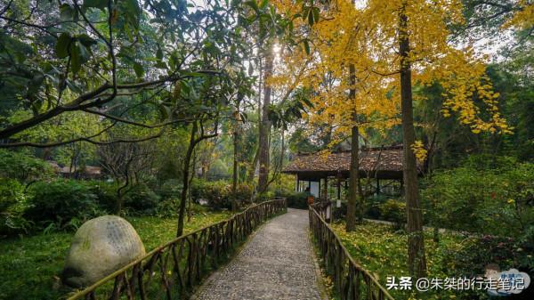 打卡成都幾處公園 有的是四川最早開辦的 有的是當地唯一五星級公園