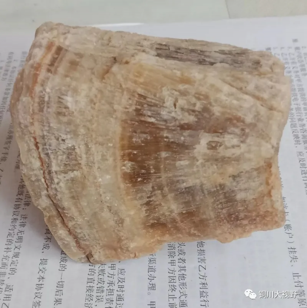 陝西銅川宜君縣深山發現“奇石”?你怎麼看 陝西銅川宜君縣深山發現“奇石”?你怎麼看