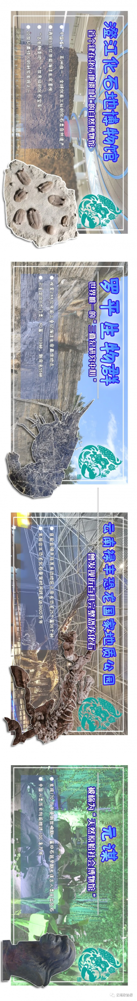 「聚焦COP15」聽!來自遠古的呼喚 「聚焦COP15」聽!來自遠古的呼喚