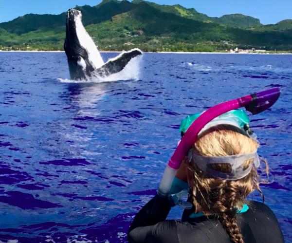 外國海洋生物學家被鯨魚救了一命，一年後，鯨魚竟然還來看她了