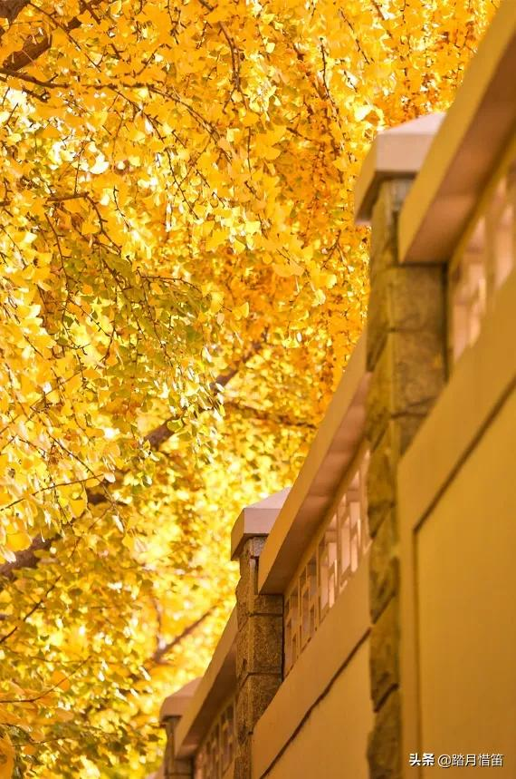 如果沒有疫情，此刻我勸你一定要去一趟北京...