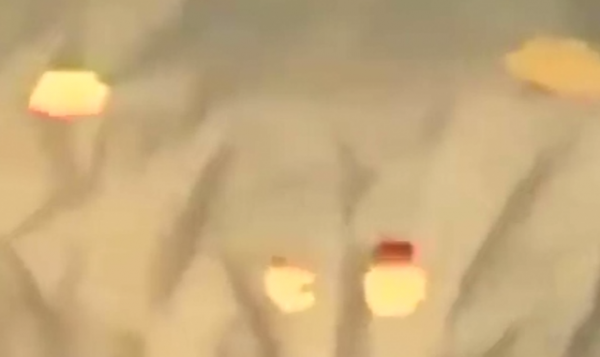 塑膠製品的“天敵”，科學家發現特殊生物，或能逆轉白色汙染