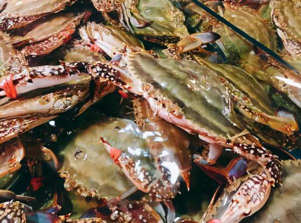 含“寄生蟲”最多的3種海鮮,沒營養還貴,老闆自己從不吃 含“寄生蟲”最多的3種海鮮,沒營養還貴,老闆自己從不吃