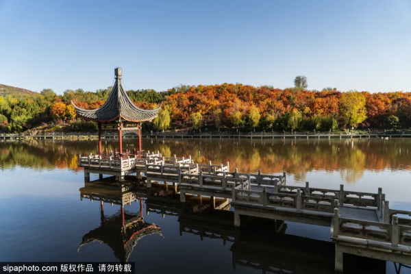 準備打卡！北京這些地方已經美成畫！最新彩葉實拍→